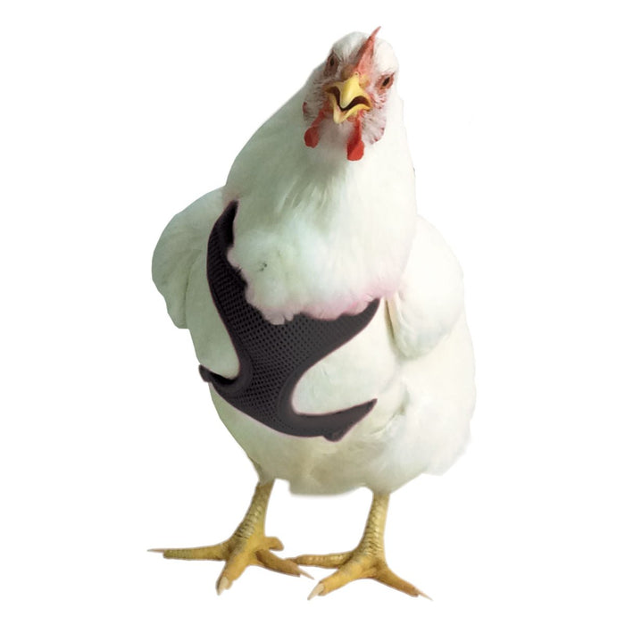 Chicken Harness - V2AL - Black - Small/Hen - 7