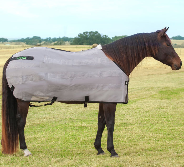 Classic Equine MagNTX Magnetic Horse Therapy Sheet - CR9V - XSmall - 1