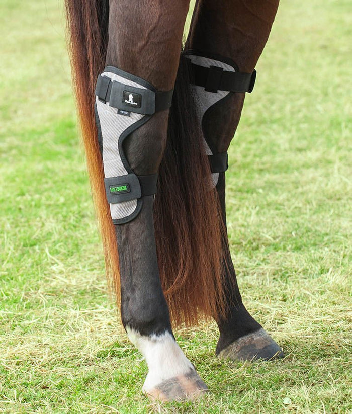 Classic Equine MagNTX Magnetic Therapy Hock Wraps, Pair - CR9T - 1