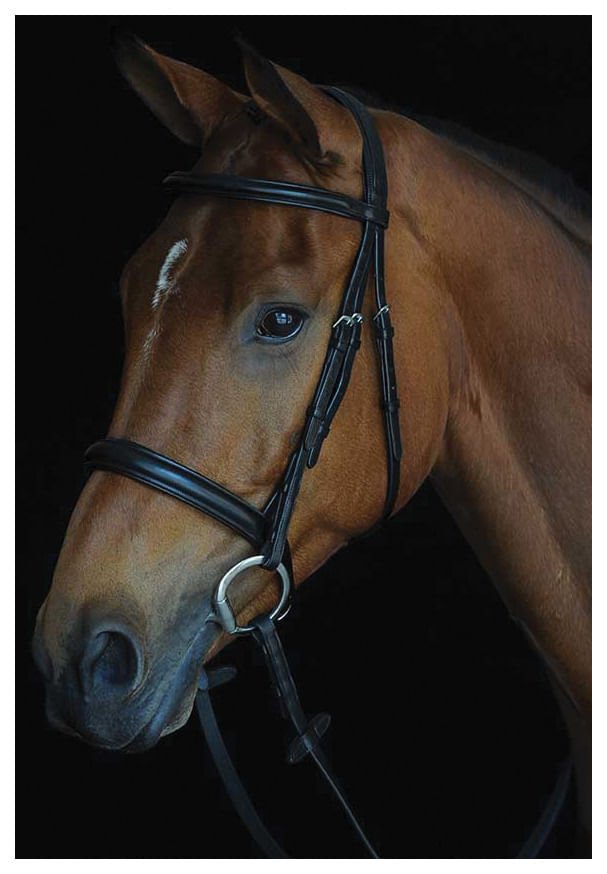 Collegiate Comfort Crown Padded Raised Cavesson Bridle - 0V1VH - Black - Cob - 1