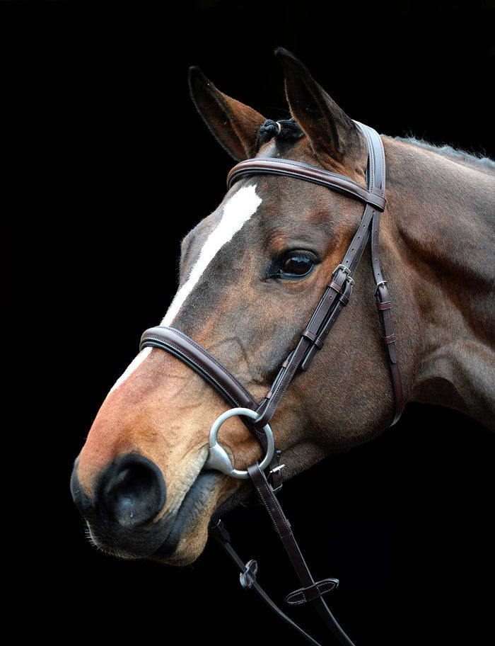 Collegiate Comfort Crown Padded Raised Cavesson Bridle - 0V1VL - Brown - Cob - 2