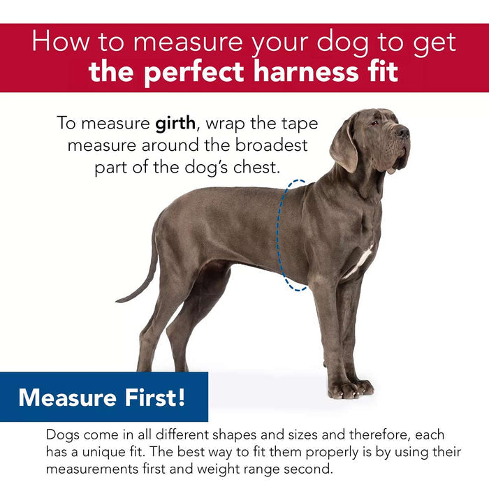 Comfort Soft Reflective Wrap Adjustable Dog Harness - C21DF - Black - X - Small - 5/8" x 16" - 19" - 4