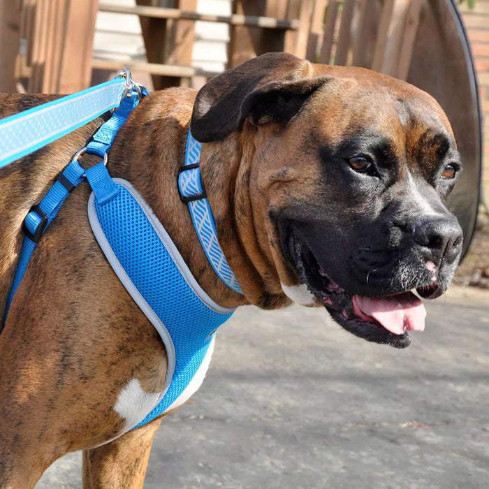 Comfort Soft Reflective Wrap Adjustable Dog Harness - C21DF - Black - X - Small - 5/8" x 16" - 19" - 5