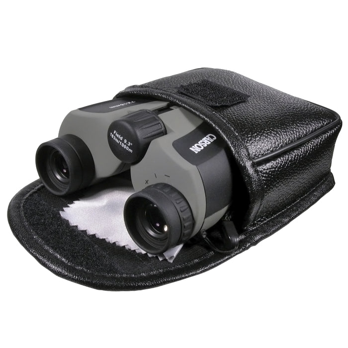 Compact Binoculars - in case