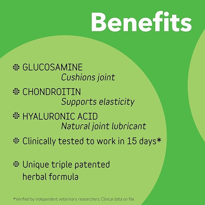 Connectin Hip & Joint Soft Chews for Dogs - UEAA - 100 - 2