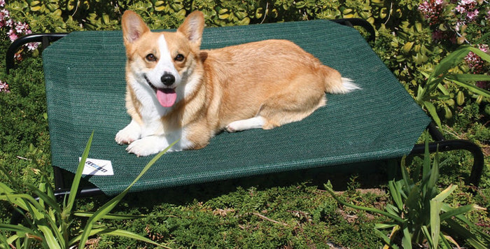 Coolaroo Pet Bed - OHC2 - Medium Coolaroo Pet Bed, 42" x 25" - 5
