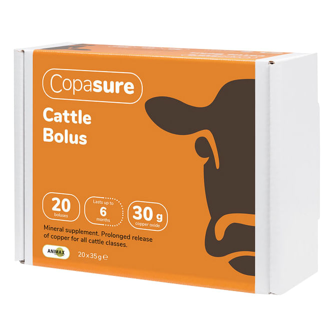 Copasure Bolus for Cattle - MGC1 - 12.5 g Copasure for Calves - 1