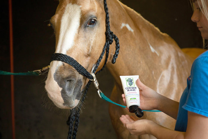 Cowboy Magic Concentrated Detangler & Shine for Horses - 1058 - 4 oz - 4