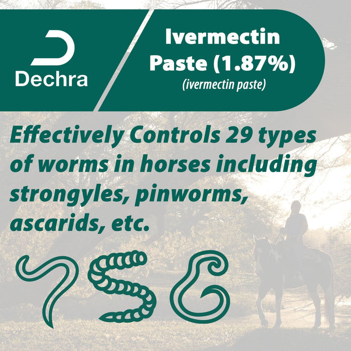 Dechra Ivermectin Paste 1.87% Anthelmintic and Boticide for Horses - DECAA - Single Pack - 3