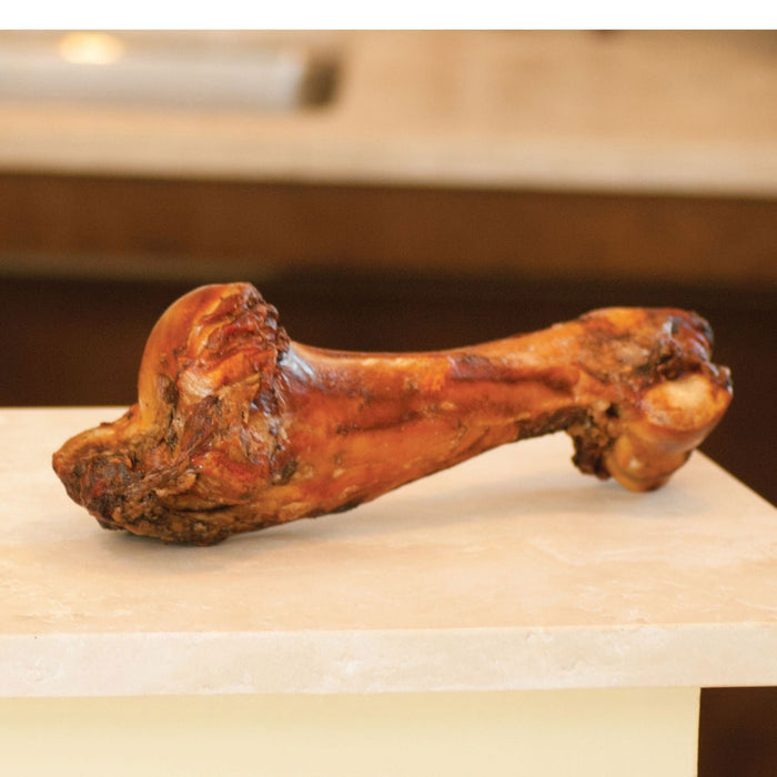 Dino Bone, 12" - 14"L - RQM4 - 1