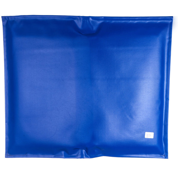 Disinfectant Mats, 24" x 28" - APDB - Blue - 5