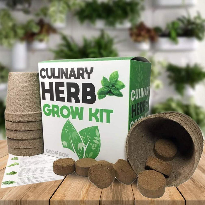 Easily Grow 10 Culinary Herb Garden Kit DailySale