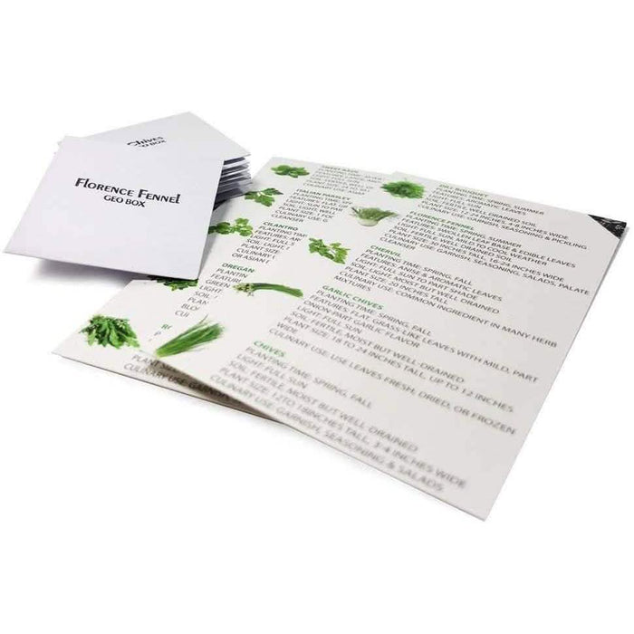 Easily Grow 10 Culinary Herb Garden Kit DailySale