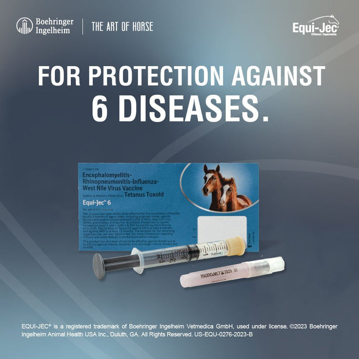 Equi - Jec 6 Vaccine for Horses - A9CT - 1 Dose - 1 - 2
