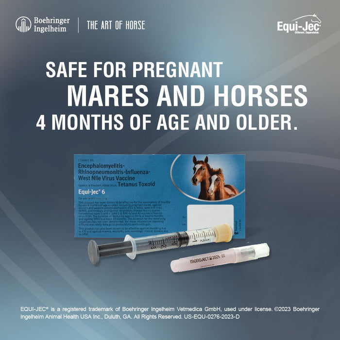 Equi - Jec 6 Vaccine for Horses - A9CT - 1 Dose - 1 - 4