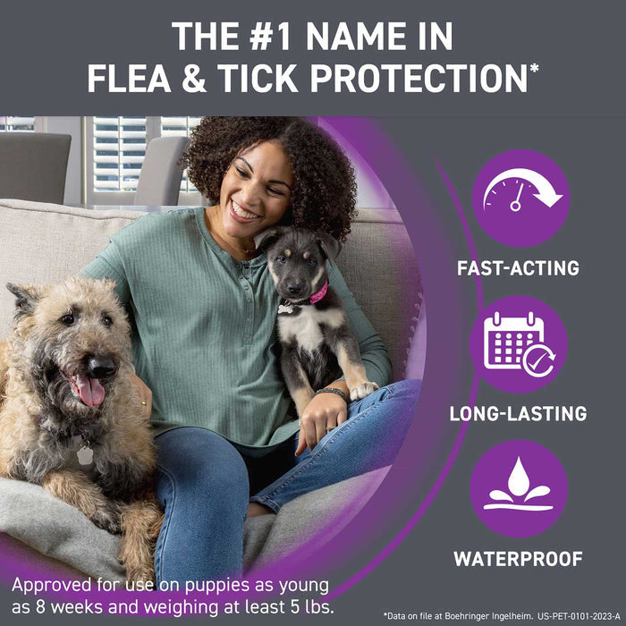 Frontline Plus for Dogs - WVFC - 6 pack - Up to 22 lbs - 3