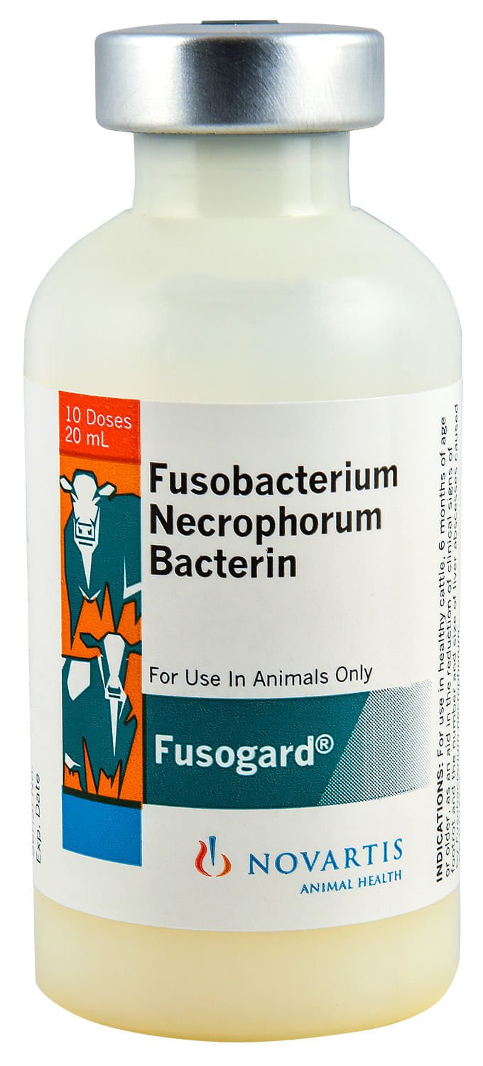 Fusogard Cattle Vaccine - G5F1 - 10 Dose Vial - 1