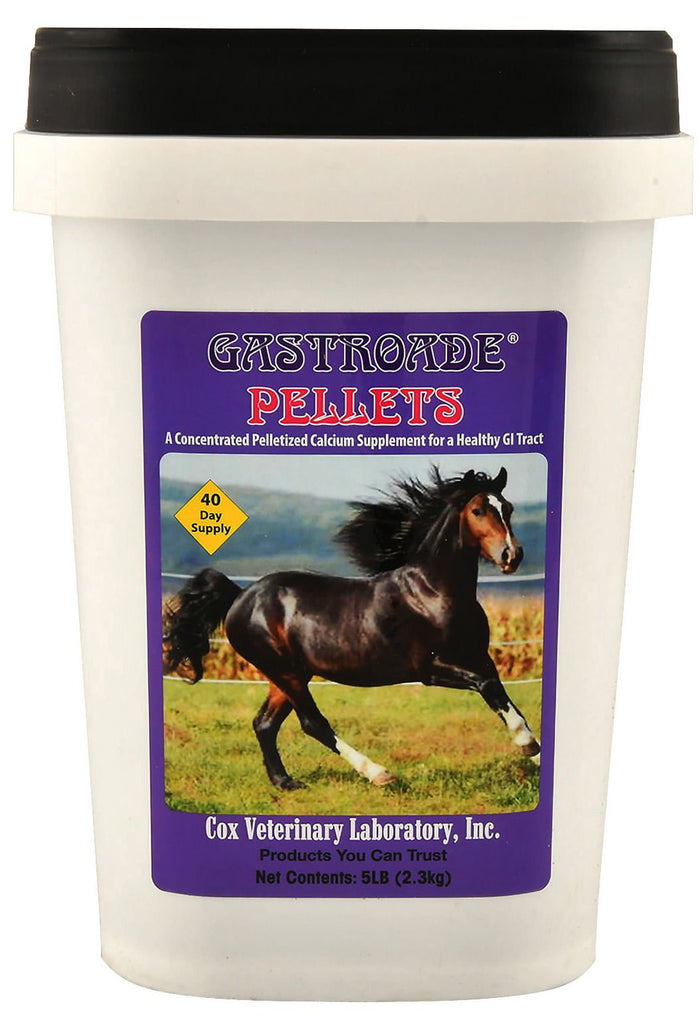 Gastroade Pellets for Healthy GI Tract in Horses - CVLAS - 5 lbs - 1
