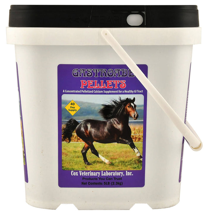 Gastroade Pellets for Healthy GI Tract in Horses - CVLAS - 5 lbs - 2