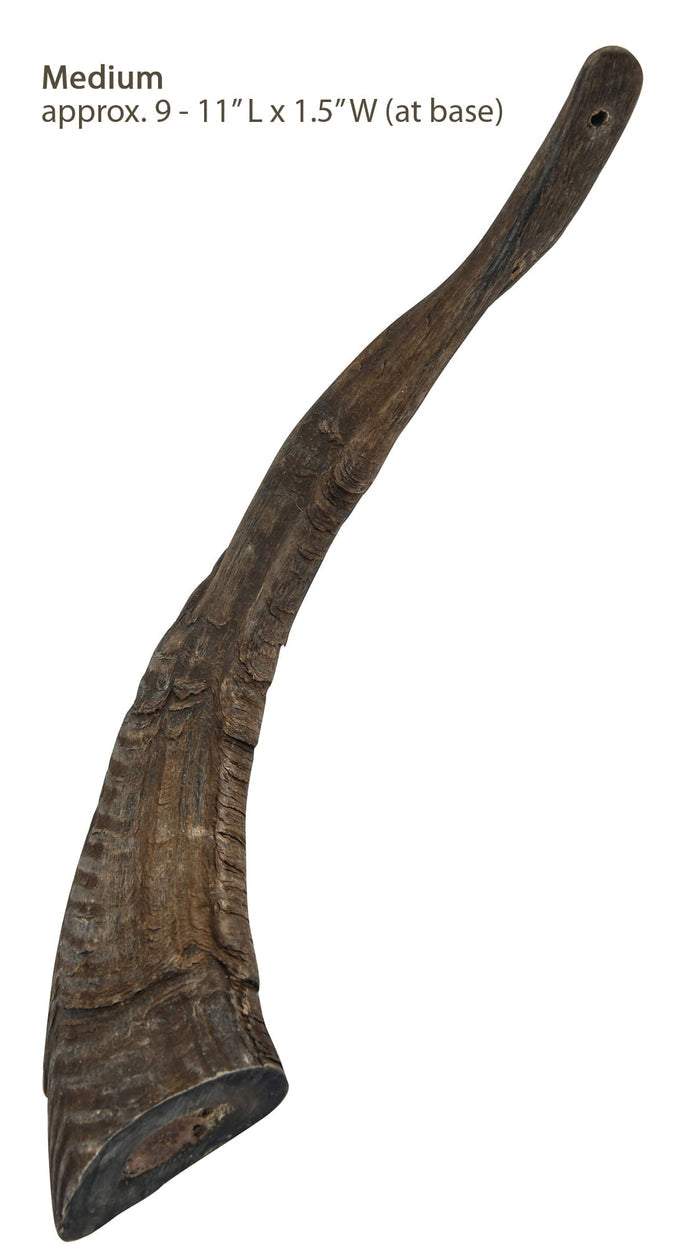 Gobi Goat Horn Natural Dog Chew - QTDAN - Small - 6