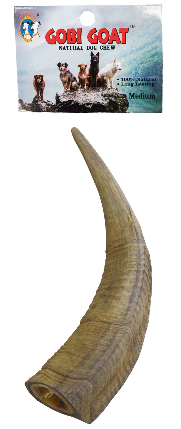 Gobi Goat Horn Natural Dog Chew - QTDAN - Small - 8