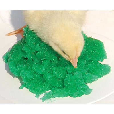 GroGel Plus with DPP Poultry Hatchling Supplement - MCHG1 - 100 dose - 3