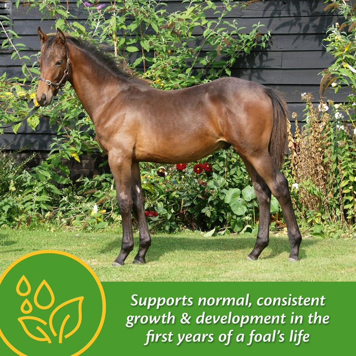 Grow Colt by Farnam - FAKU - 3.75 lbs - 8