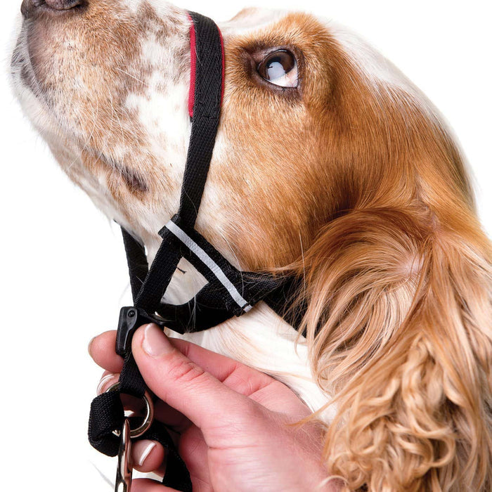Halti OptiFit Headcollar - TCAAI - Small - 4