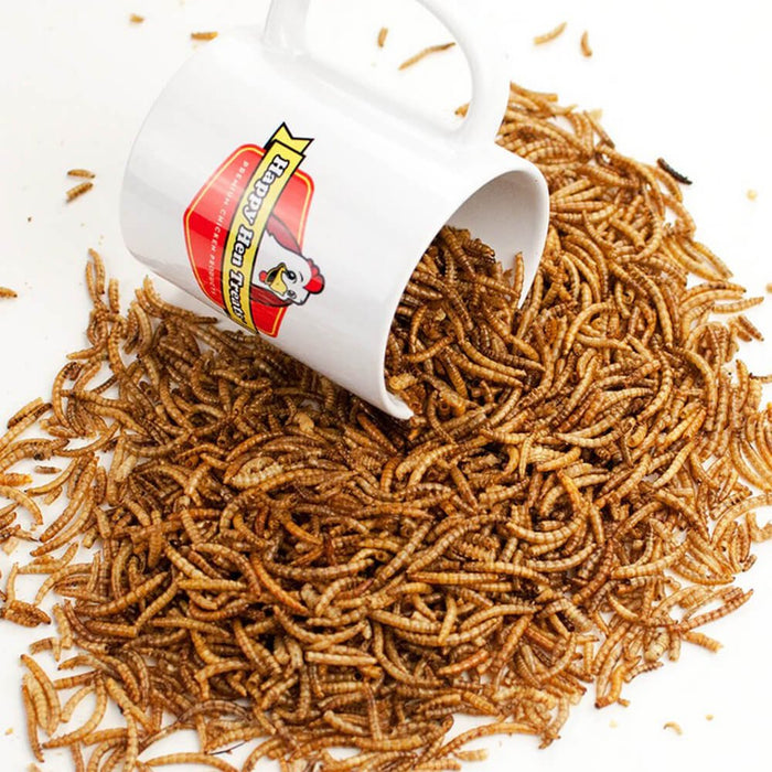 Happy Hen Treats MealWorm Frenzy for Chickens - 002DUV-089-17003 - 30 oz - 3