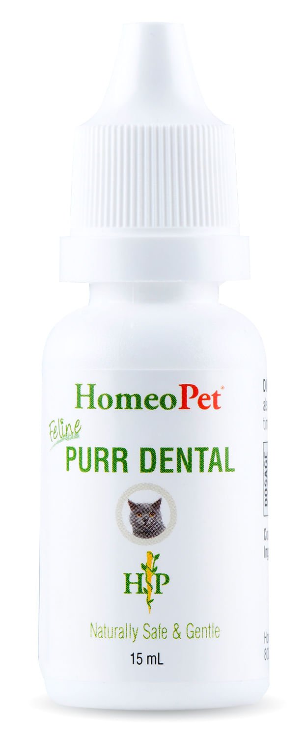 HomeoPet Feline Purr Dental, 15 mL - NVNB - 3