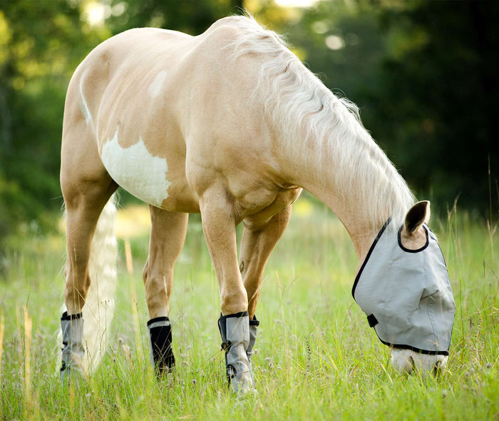 Horse Sense Fly Leg Wraps, Pair - NE1Q - 4