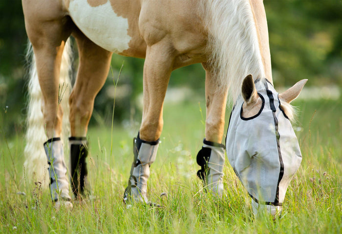 Horse Sense Fly Leg Wraps, Pair - NE1Q - 5