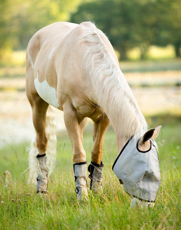 Horse Sense Fly Leg Wraps, Pair - NE1Q - 6