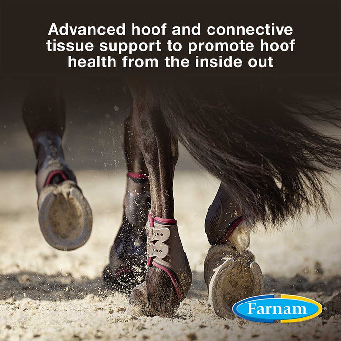 Horseshoer's Secret Hoof & Connective Tissue Supplement - FAHH - 3.75 lbs - 3
