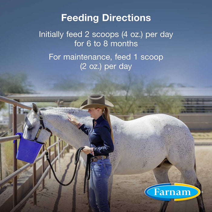 Horseshoer's Secret Hoof & Connective Tissue Supplement - FAHH - 3.75 lbs - 5