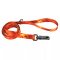 Inspire Fashion Dog Leash - C21GA - Blazing Shards - Small/Medium - 5/8" x 6' - 1