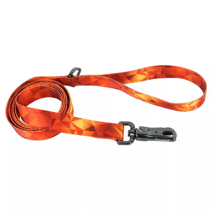 Inspire Fashion Dog Leash - C21GA - Blazing Shards - Small/Medium - 5/8" x 6' - 1