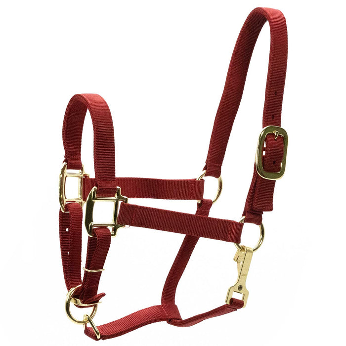 Red / Yearling