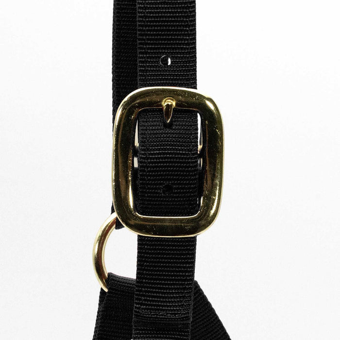 Jeffers Adjustable Halter with Throat Snap - SSMA - Yearling - Black - 2