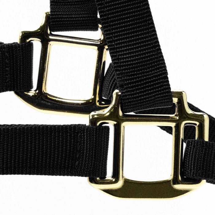 Jeffers Adjustable Halter with Throat Snap - SSMA - Yearling - Black - 4