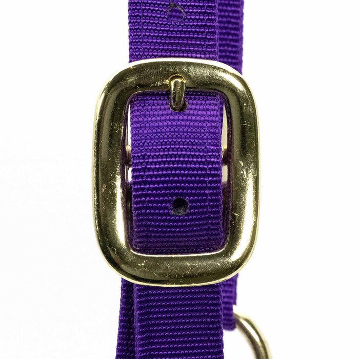 Jeffers Adjustable Halter with Throat Snap - SSMB - Yearling - Purple - 6