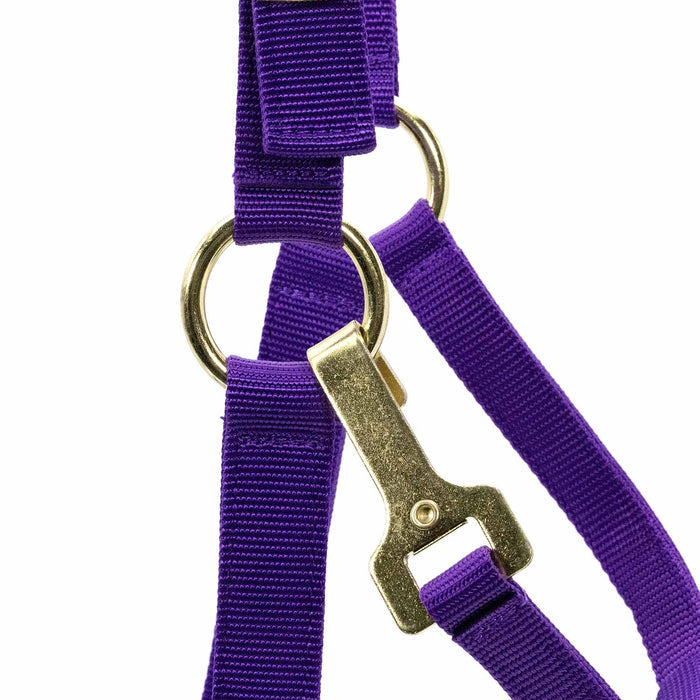 Jeffers Adjustable Halter with Throat Snap - SSMB - Yearling - Purple - 7