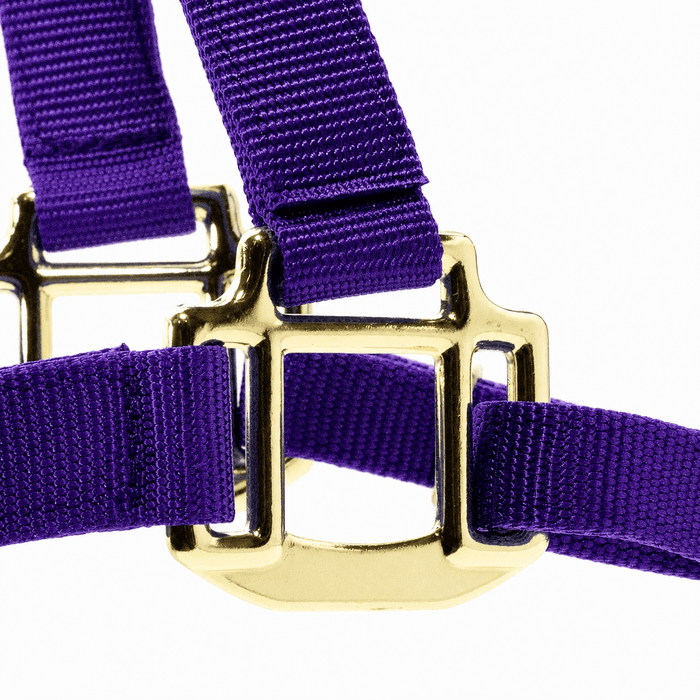 Jeffers Adjustable Halter with Throat Snap - SSMB - Yearling - Purple - 8