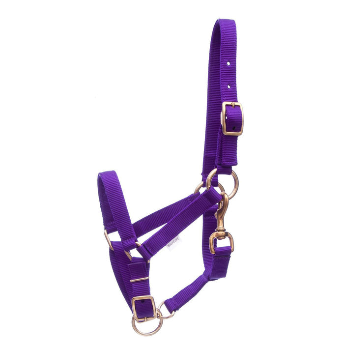 Jeffers Adjustable Nylon Miniature Horse Halter - SSMK - Purple - 4