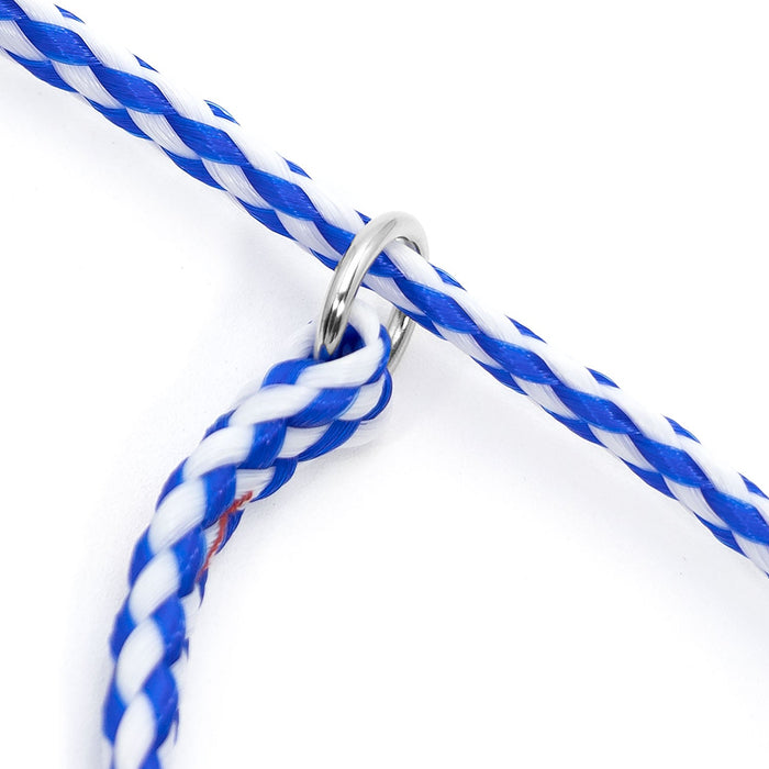 Jeffers Animal Control Slip Dog Lead, Braided Poly, 6'L - EZA1 - Each - Blue - 6'L - 3