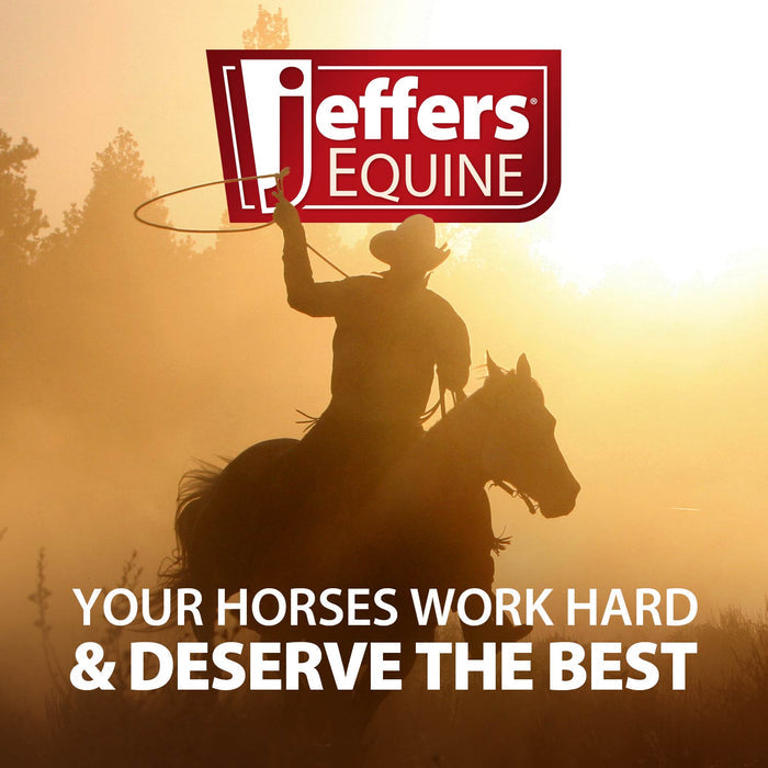 Jeffers Cowboy Pelham Curb Horse Bit