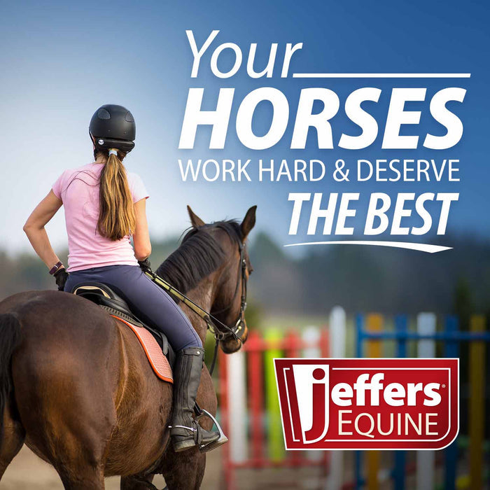 Jeffers Deluxe Dee Horse Bit