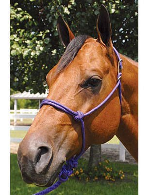 Jeffers Easy - On Clip Nylon Rope Horse Halter with Lead - 121E8 - Hot Pink - 8