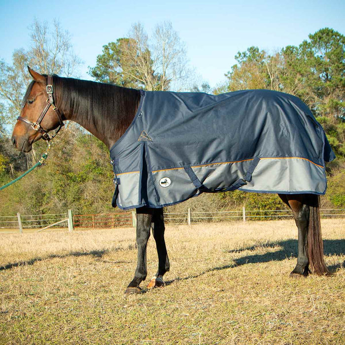 Jeffers Economy Plus 1200 Denier Turnout Blanket with Standard Neck, 240 Gram - GAG1UB - 75" - Navy/Gray - 2