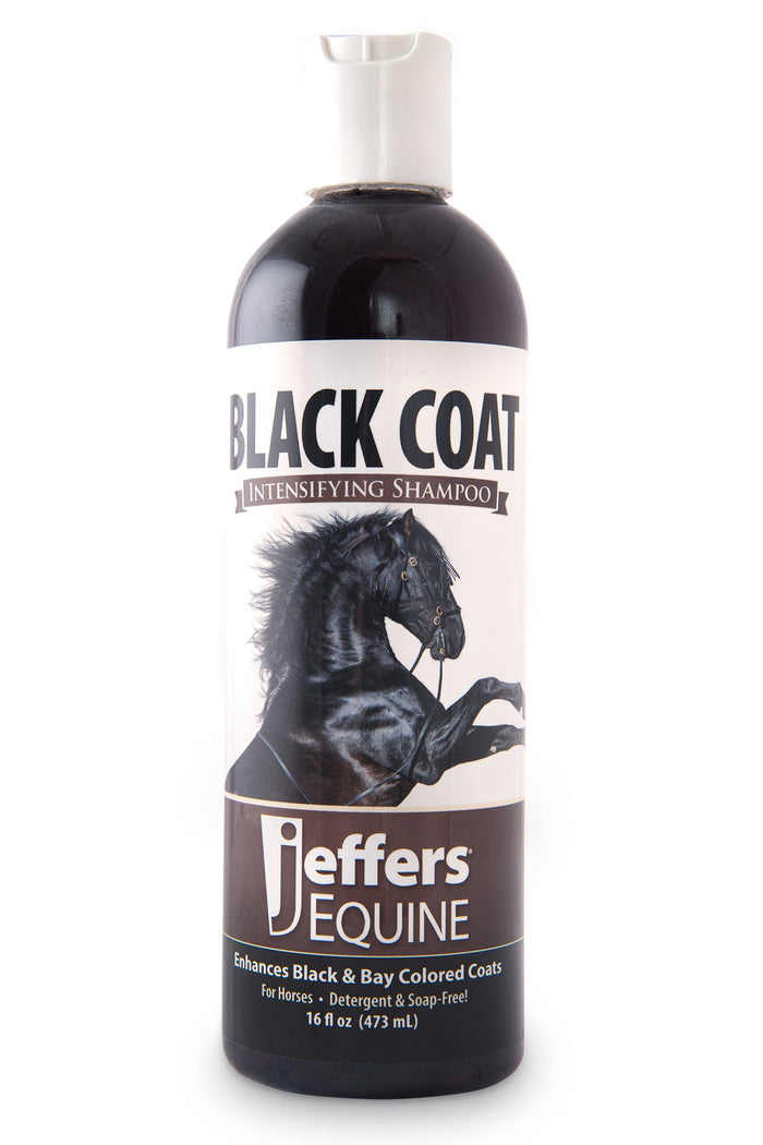 Jeffers Equine Black Coat Intensifying Horse Shampoo for Black & Bay Coats - TZB1 - 16 oz - 1